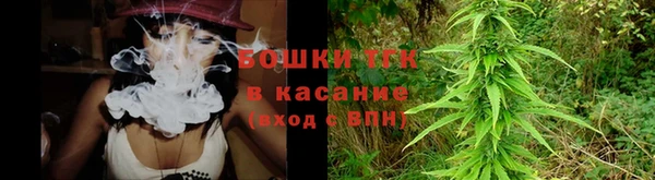 прущие грибы Алзамай