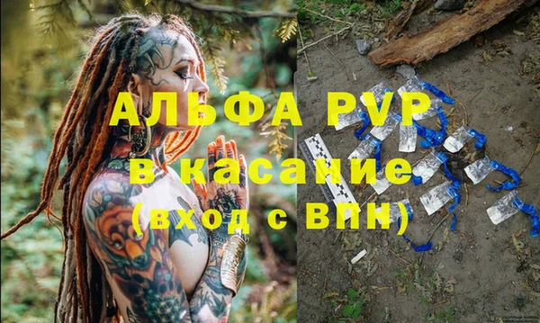 твердый Аркадак