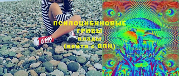 прущие грибы Алзамай
