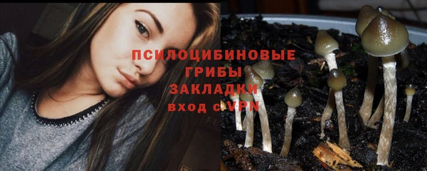 гашик Алексеевка