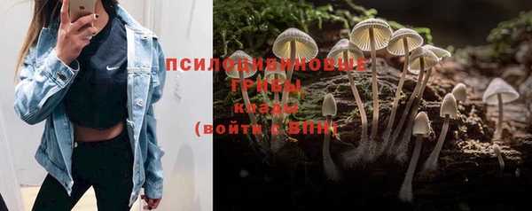 хмурый Арсеньев