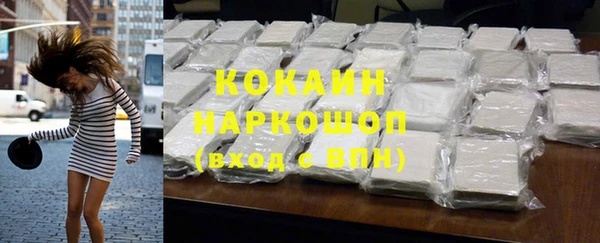 хмурый Арсеньев