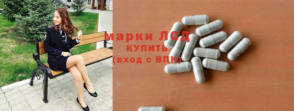 прущие грибы Алзамай