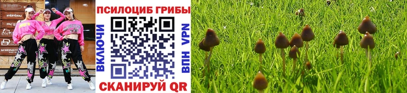 ОМГ ОМГ ссылка  купить наркотик  Куйбышев  Псилоцибиновые грибы MAGIC MUSHROOMS 