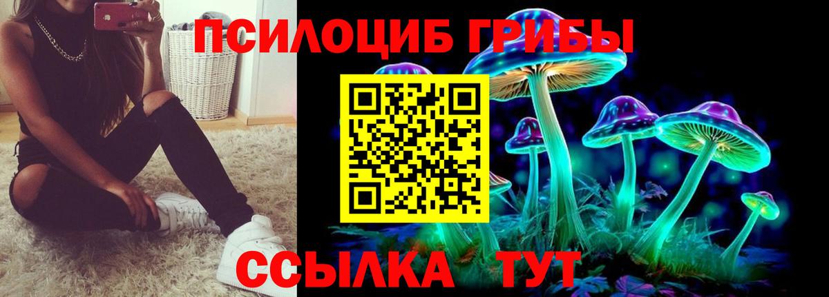Куйбышев  Псилоцибиновые грибы мухоморы  Псилоцибиновые грибы Magic Shrooms  дарнет шоп  Вход с VPN 